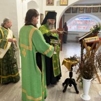 Вход Господень в Иерусалим.